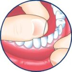 Brushing and Flossing - Ontario Dental Association