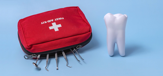 Tooth and First Aid Bag